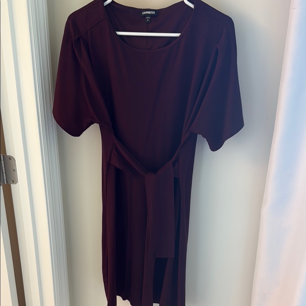 Express Deep Burgundy Short Sleeve Dress